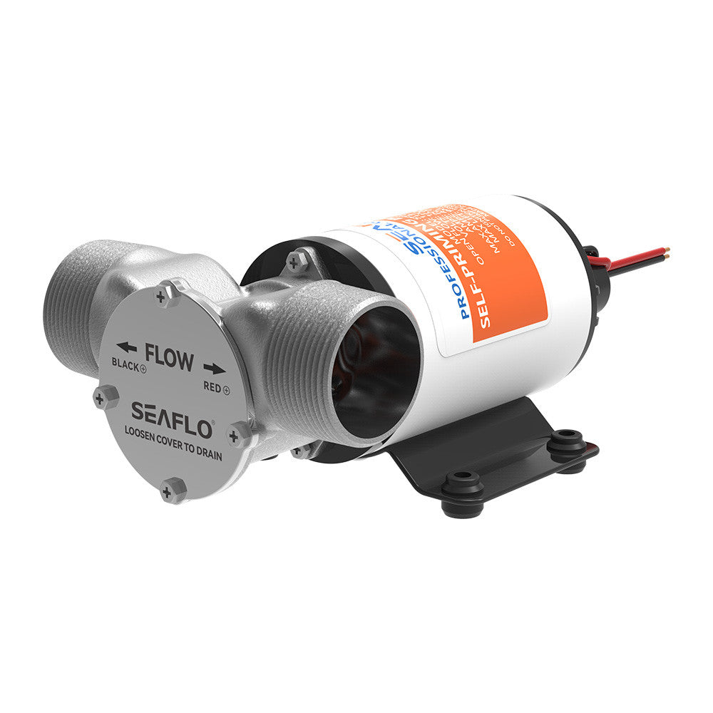 SEAFLO 02-Series 30.0 GPH Ballast Pump (Choose 12V or 24V)